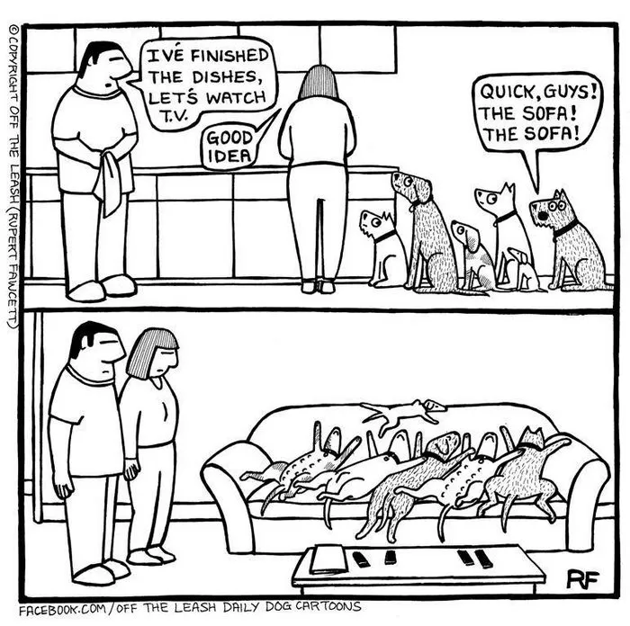 94 Hilarious Comics About Life With Dogs By "Off The Leash"