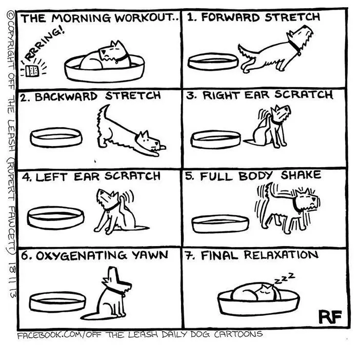 94 Hilarious Comics About Life With Dogs By "Off The Leash"