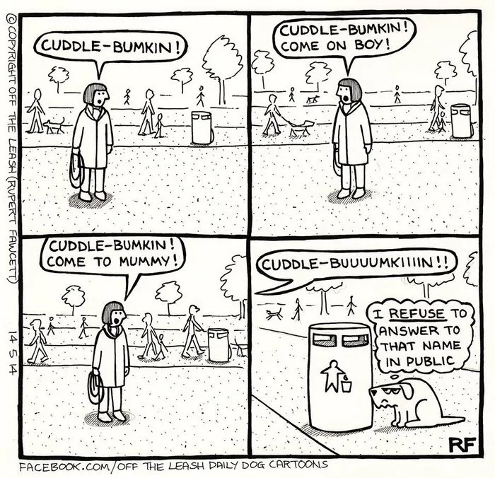 94 Hilarious Comics About Life With Dogs By "Off The Leash"