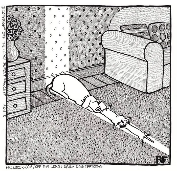 94 Hilarious Comics About Life With Dogs By "Off The Leash"