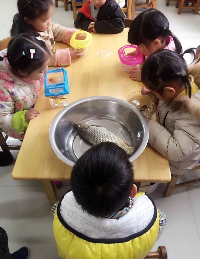 Bring A Fish To School Day