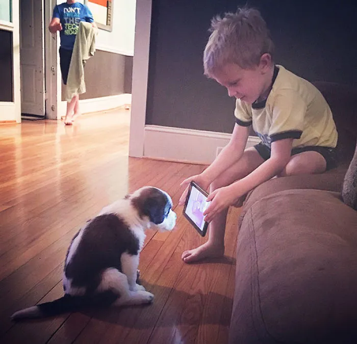This Isn't Exactly What We Meant When We Told Him That He Could Look Up Puppy Training Tips On Youtube