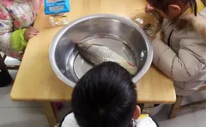 103 Kids Who Take Instructions Too Literally