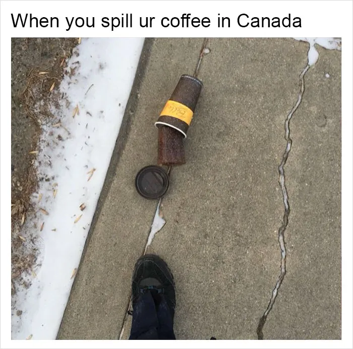 149 Funny Memes By Tank Sinatra