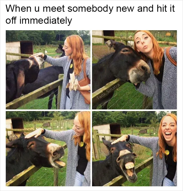 149 Funny Memes By Tank Sinatra