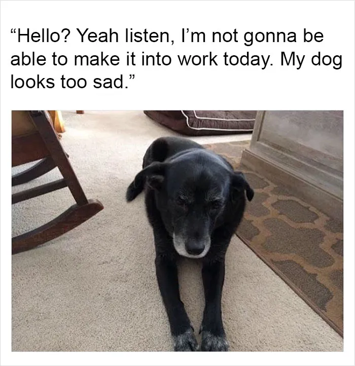 149 Funny Memes By Tank Sinatra