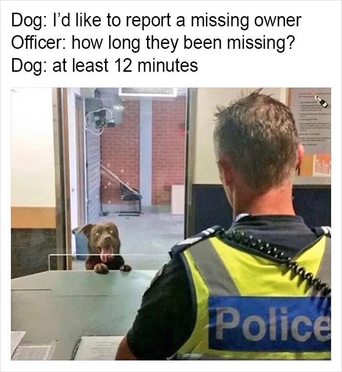 149 Funny Memes By Tank Sinatra