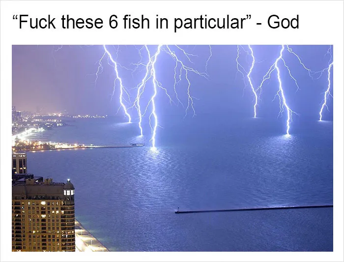 149 Funny Memes By Tank Sinatra