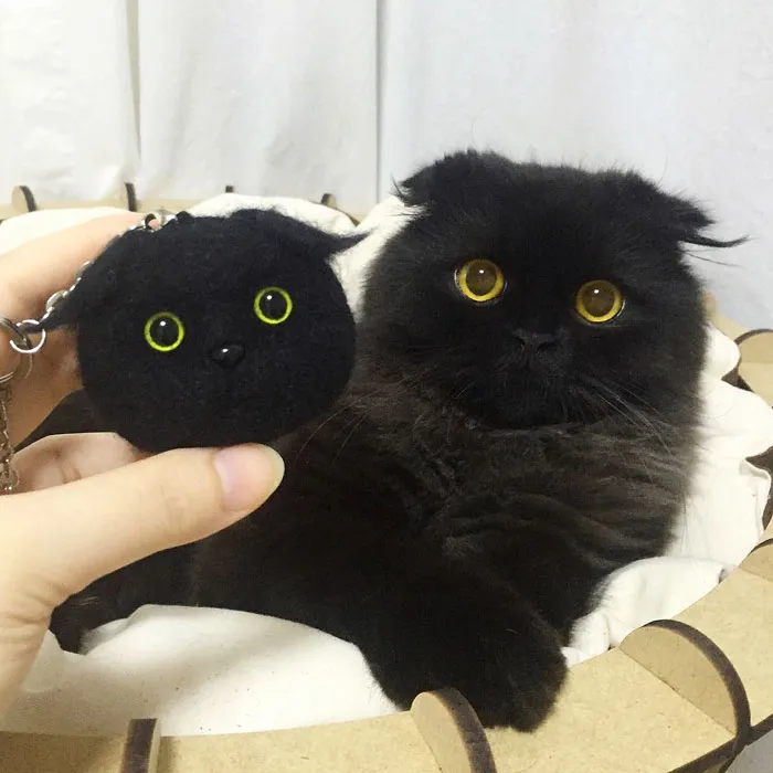 This Furball Looks Like Studio Ghibli’s Soot Sprite (104 Pics)