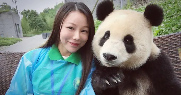 This Giant Panda Has Mastered The Selfie Game