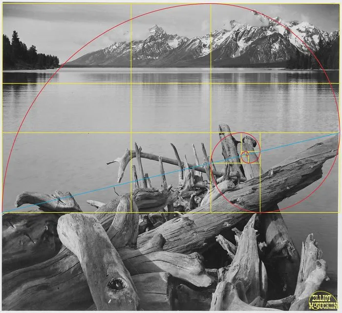 What Happens When You Draw The Golden Ratio On Ansel Adams' Photos