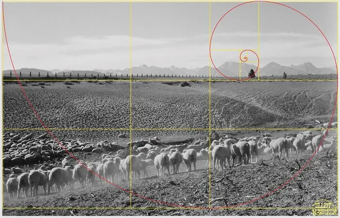What Happens When You Draw The Golden Ratio On Ansel Adams' Photos