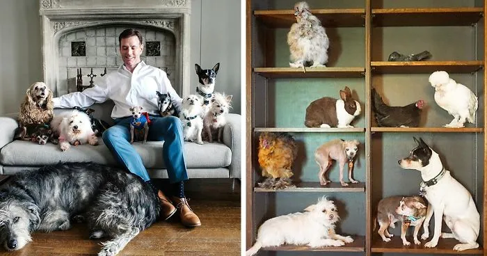 Guy Loves Adopting Old Animals