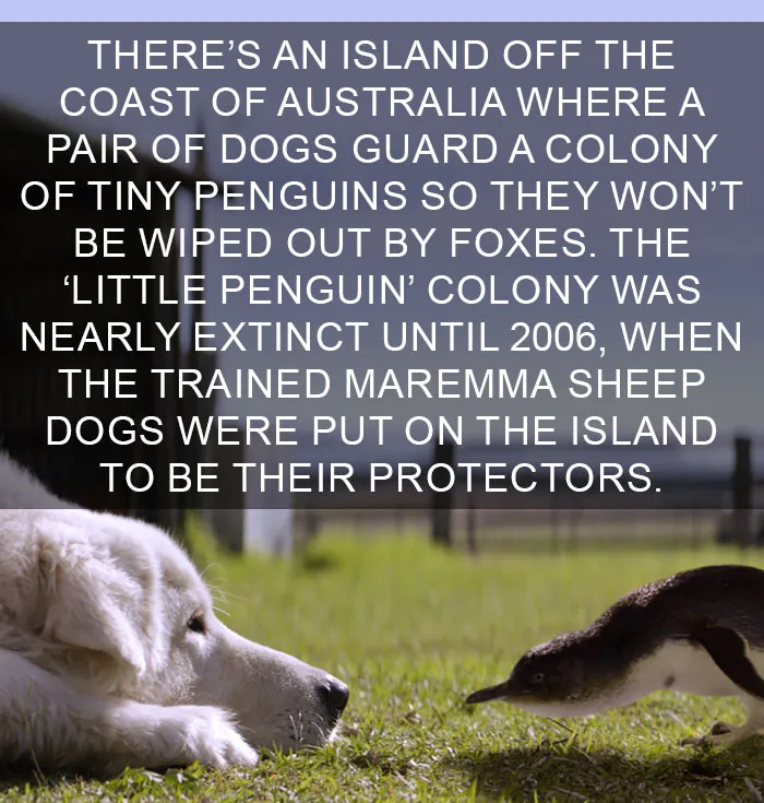 50 Of The Happiest Facts Ever That'll Make Your Day