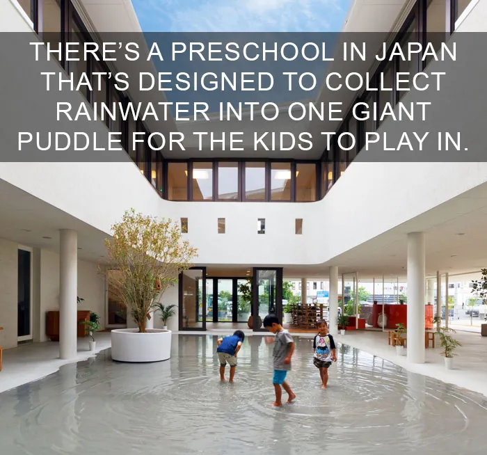 50 Of The Happiest Facts Ever That'll Make Your Day