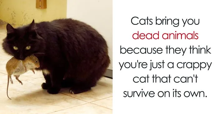 50 Of The Happiest Facts Ever That'll Make Your Day