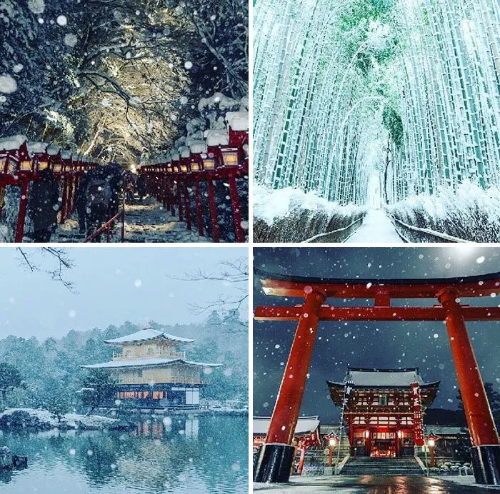 Rare Heavy Snowfall Turns Kyoto Into Winter Wonderland, And The Photos Look Absolutely Magical