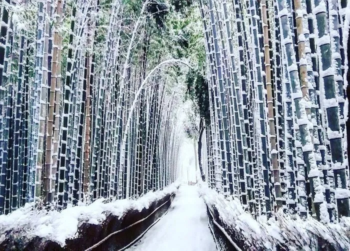 Rare Heavy Snowfall Turns Kyoto Into Winter Wonderland, And The Photos Look Absolutely Magical