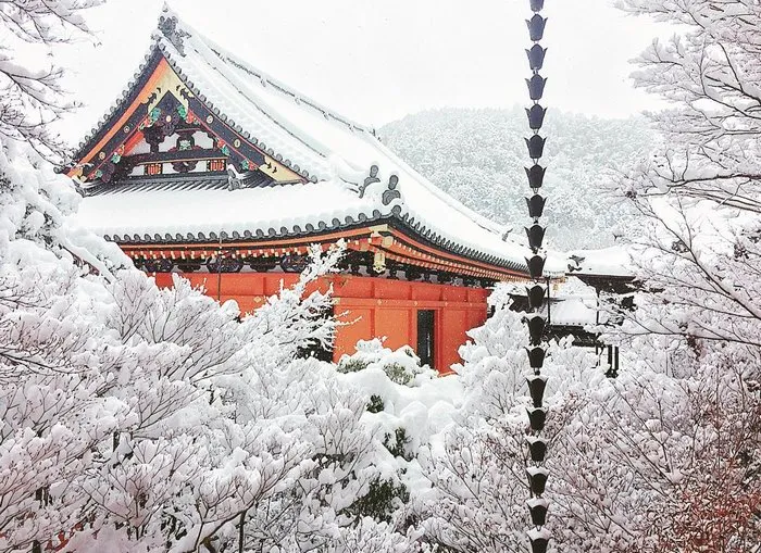 Rare Heavy Snowfall Turns Kyoto Into Winter Wonderland, And The Photos Look Absolutely Magical