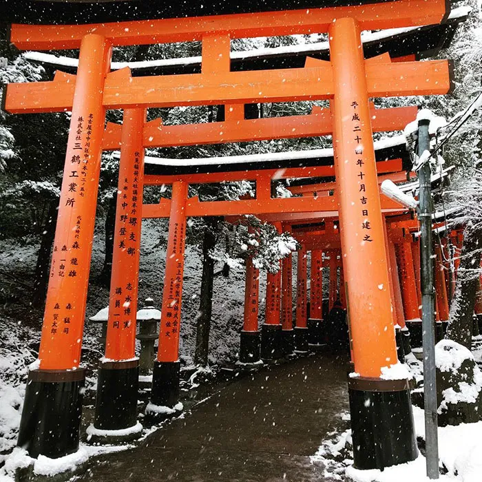 Rare Heavy Snowfall Turns Kyoto Into Winter Wonderland, And The Photos Look Absolutely Magical