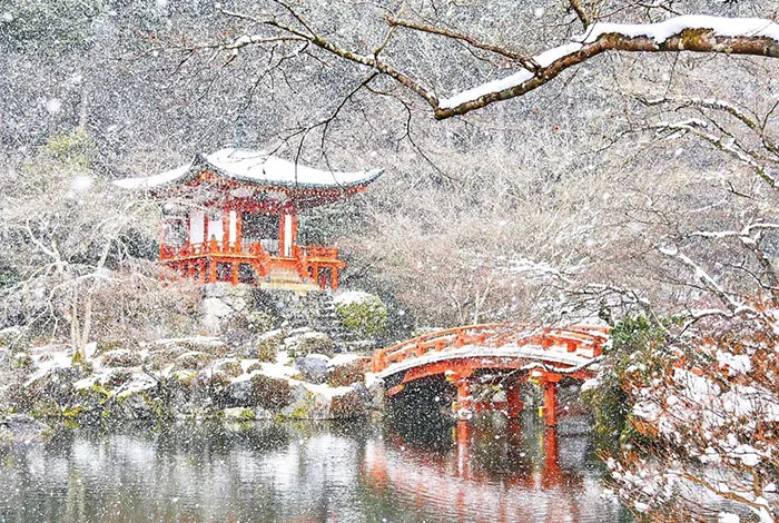 Rare Heavy Snowfall Turns Kyoto Into Winter Wonderland, And The Photos Look Absolutely Magical