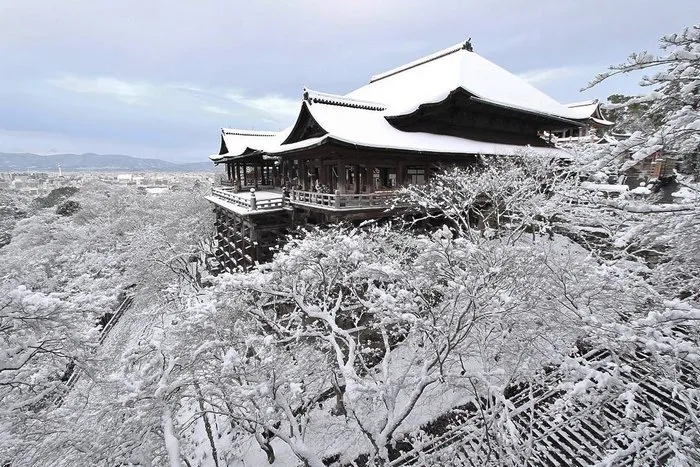 Rare Heavy Snowfall Turns Kyoto Into Winter Wonderland, And The Photos Look Absolutely Magical