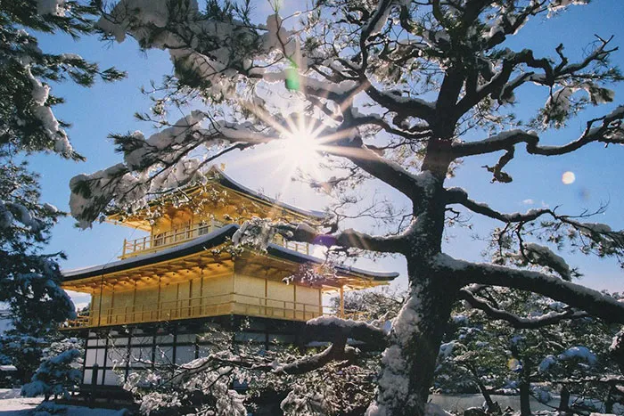 Rare Heavy Snowfall Turns Kyoto Into Winter Wonderland, And The Photos Look Absolutely Magical