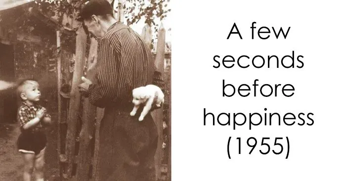 109 Of The Most Heartwarming Historic Photos Ever