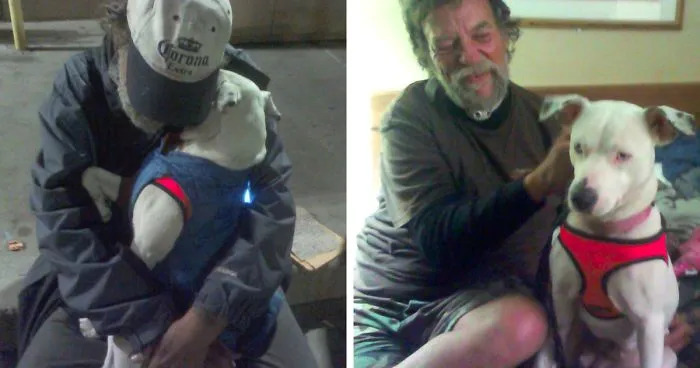 When This Woman Found A Dying Homeless Man With A Dog, He Told Her His Last Wish And It’s Heartbreaking