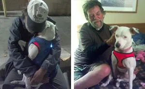 When This Woman Found A Dying Homeless Man With A Dog, He Told Her His Last Wish And It’s Heartbreaking