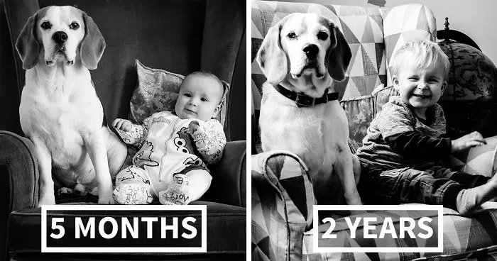 I've Taken A Picture Of My Son And Beagle Every Month For The Last Two Years In The Same Chair