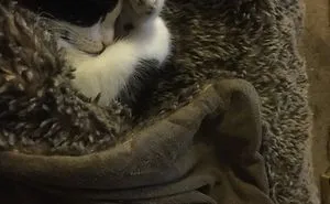 Sleeeeeeeeeeep