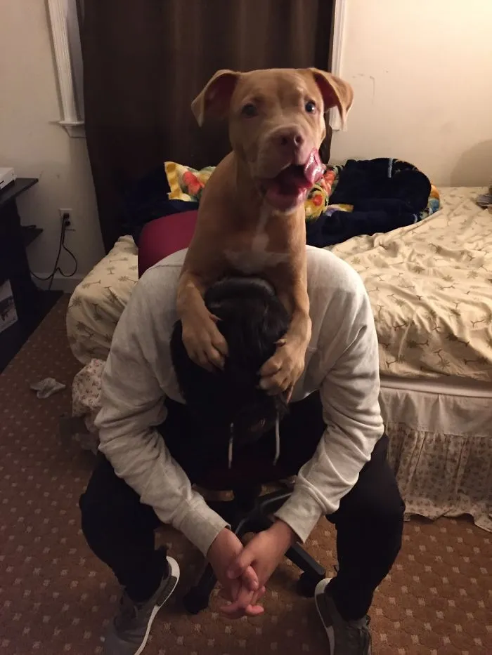 Meet Kilo