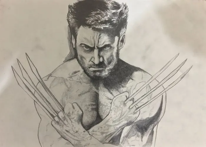 Drawing Progress