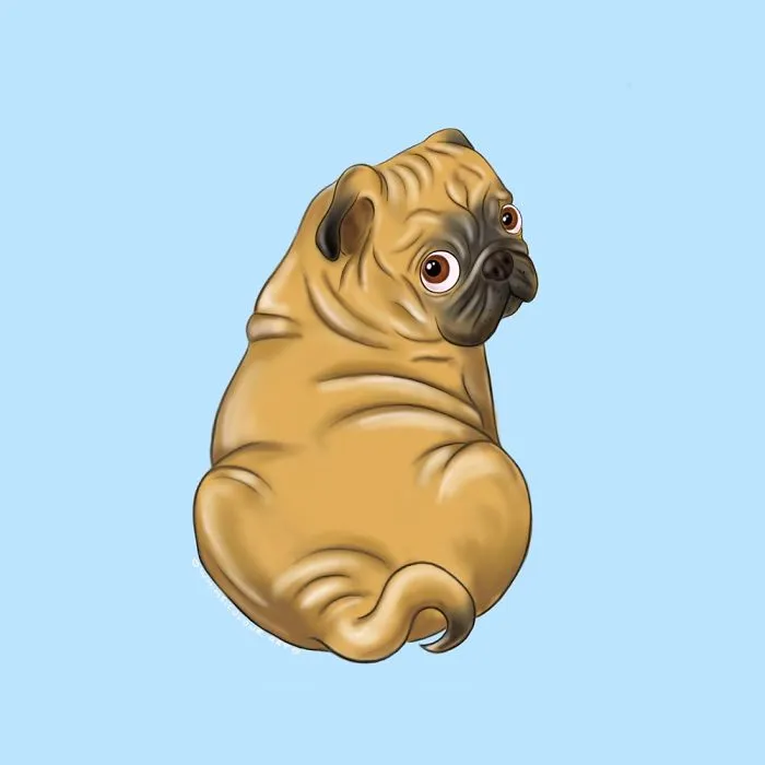 Squishy Pug Rolls