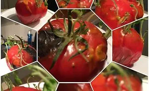 Weird Tomato