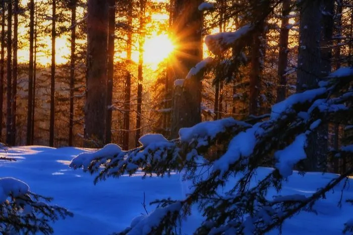 Some Pics From Where I Live.. North Of Sweden