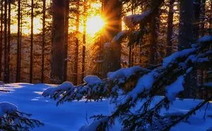 Some Pics From Where I Live.. North Of Sweden