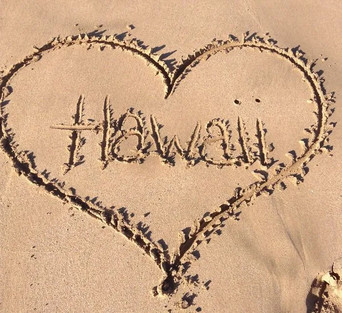 Went To Hawaii (better Pics)
