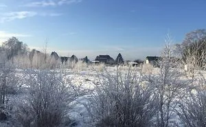 Winter Wonderland