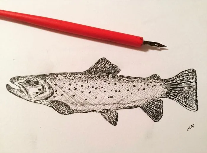 Dip Pen And Micron Nature Art