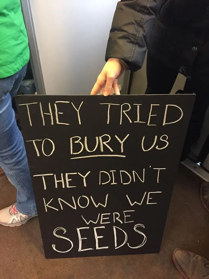 Some Signs From The Women's March Yesterday