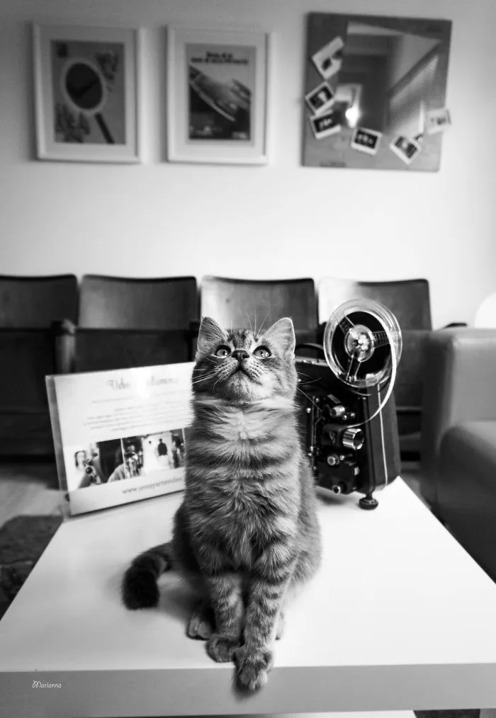 Romeo At The Videomaker Studio