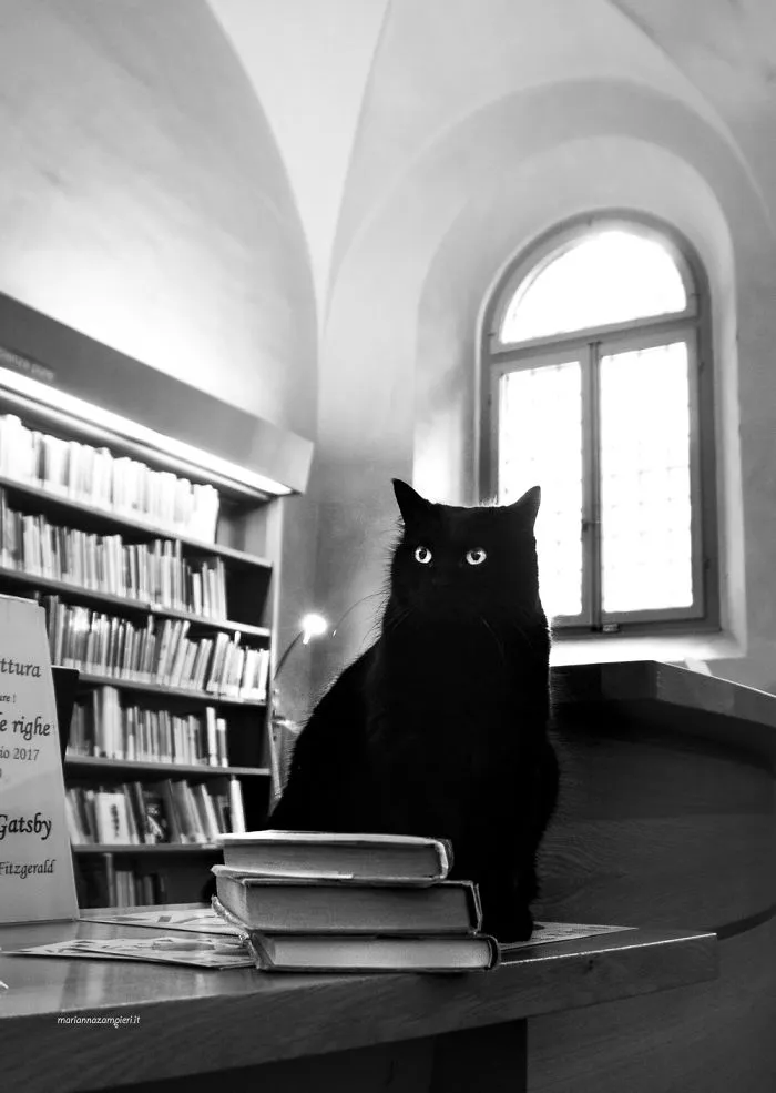 Obama At The Classense Library
