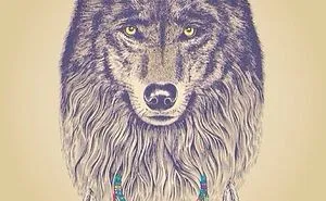 Wolves With Dream Catchers