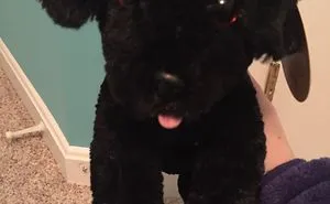 Cute