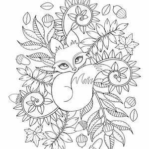 Sweary Coloring Books