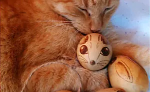 My Cat Was Driving Me Crazy So I Started Making These Cat Toys, Now We Are In Business