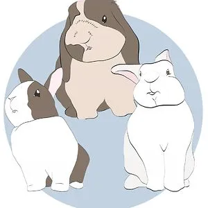 The Fluffy Group