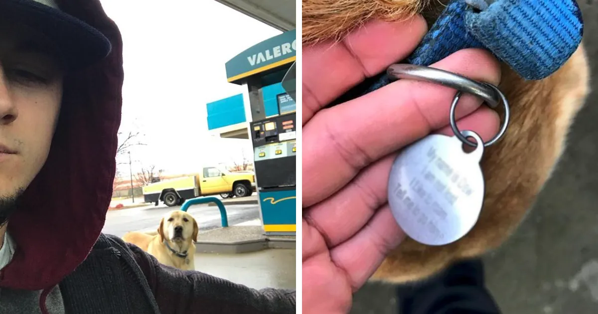 Man Finds A 'Lost' Dog, Tries To Help Until He Reads The ID Tag